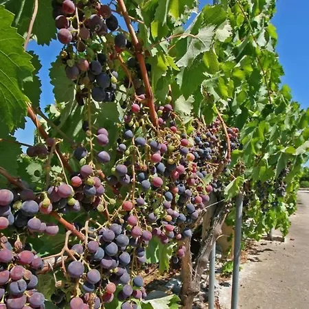 Villa Rafalet, By Renthousing *