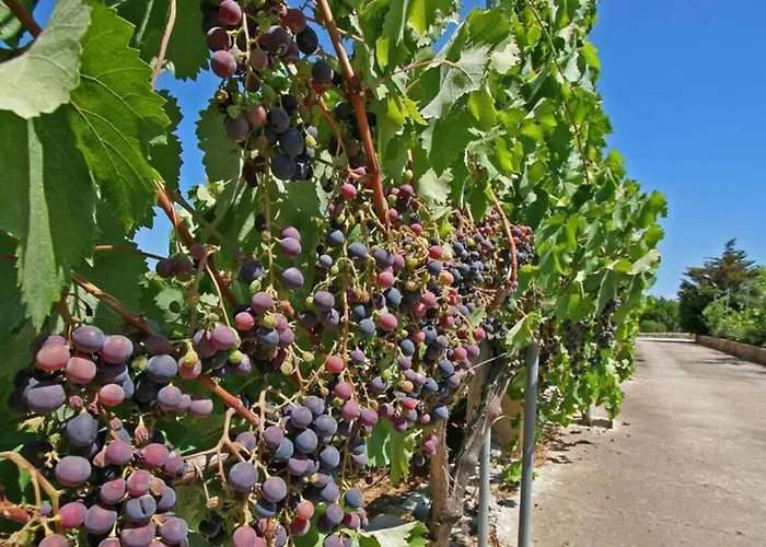 Villa Rafalet, By Renthousing *